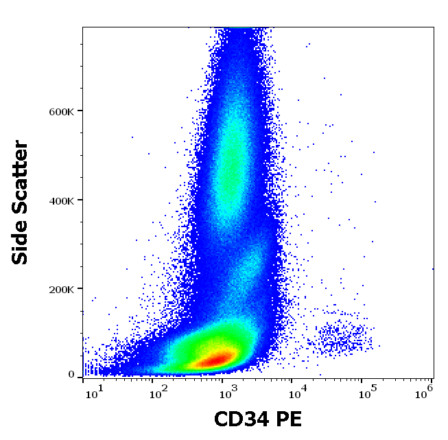 CD34 Antibody (PE)