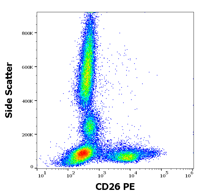 CD26 Antibody (PE)
