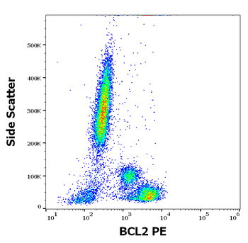 BCL2 Antibody (PE)