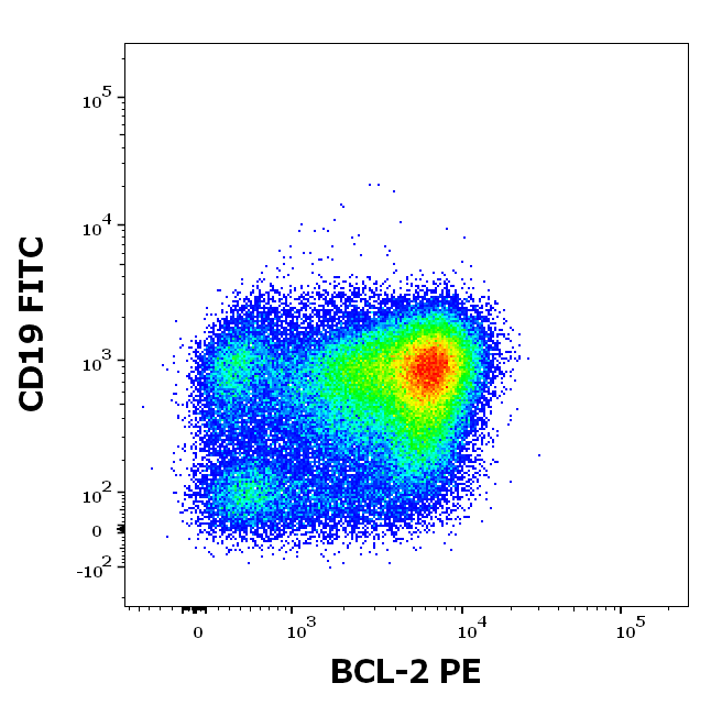 BCL2 Antibody (PE)