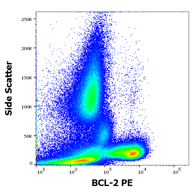 BCL2 Antibody (PE)