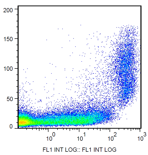 CD9 Antibody (FITC)