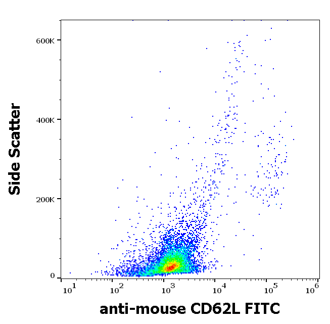 CD62L Antibody (FITC)