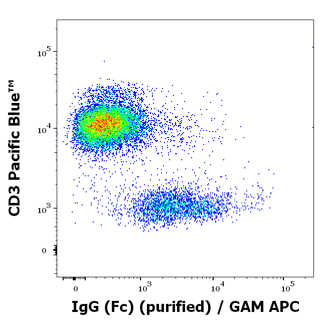 IgG (Fc) Antibody