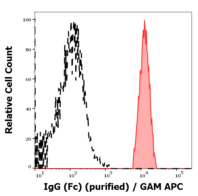 IgG (Fc) Antibody