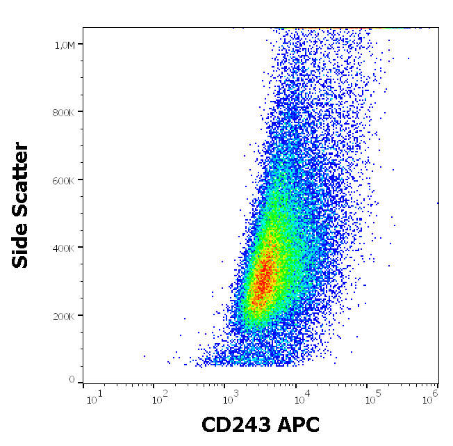 CD243 Antibody (APC)