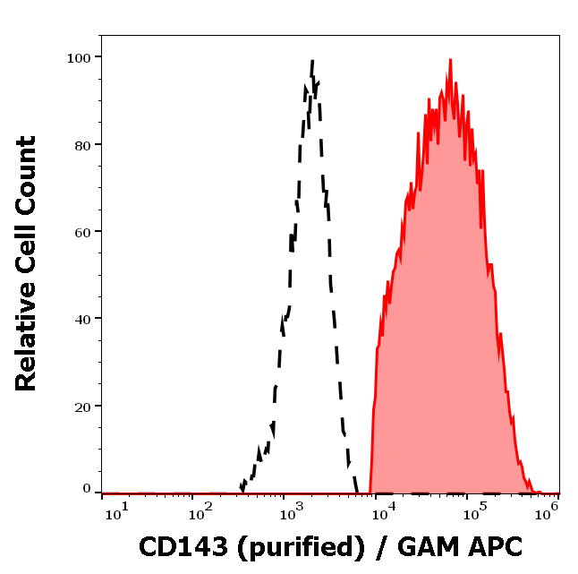 CD143 Antibody
