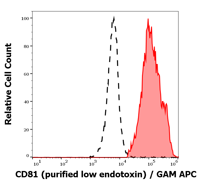 CD81 Antibody