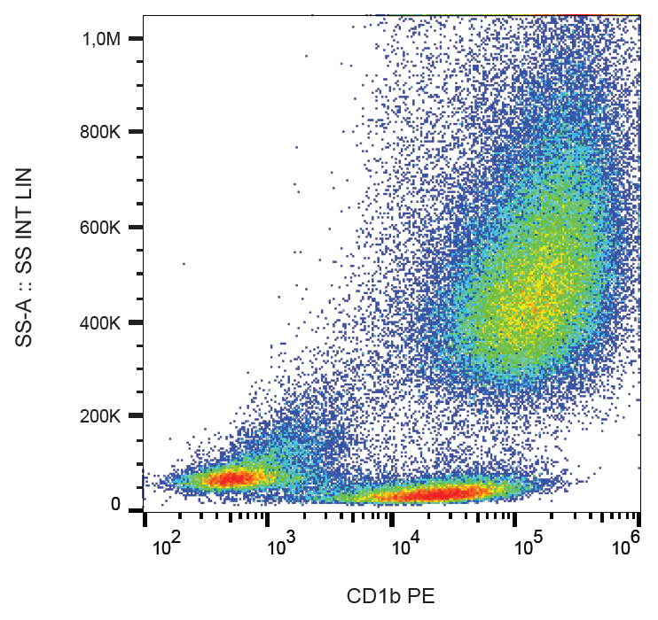CD1b Antibody (PE)