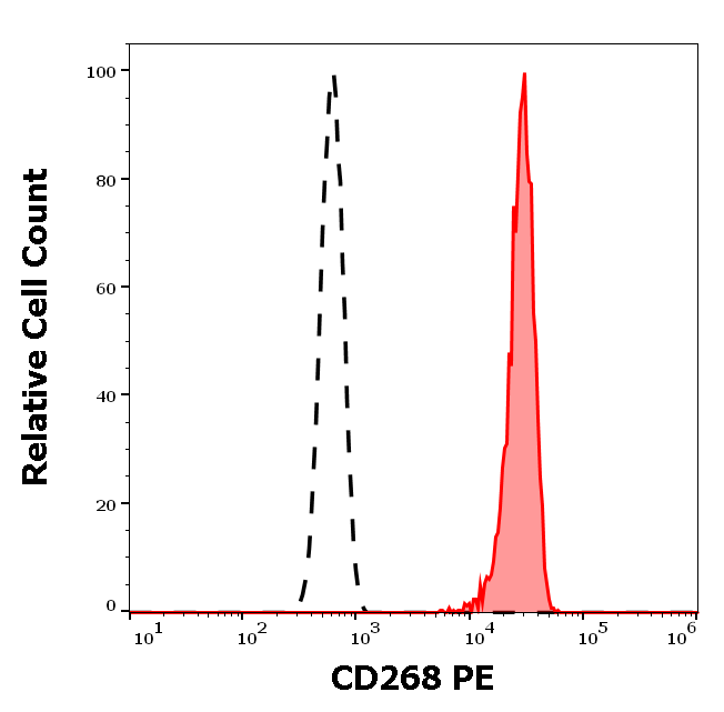 CD268 Antibody (PE)