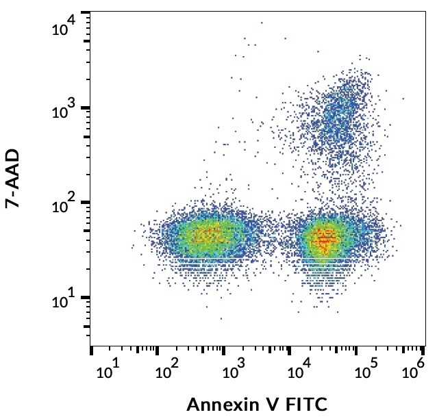 Annexin V (FITC) Antibody