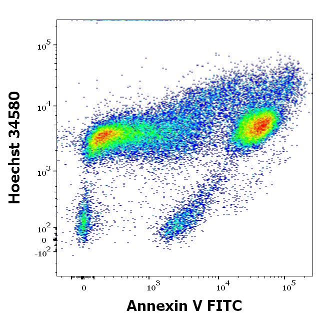 Annexin V (FITC) Antibody