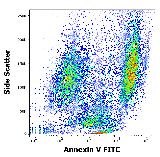 Annexin V (FITC) Antibody