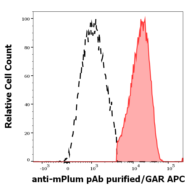 mPlum Antibody