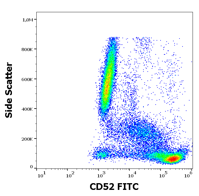 CD52 Antibody (FITC)
