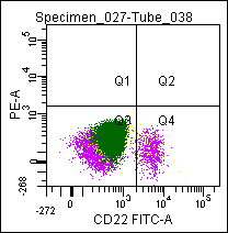 Mouse anti CD22 Antibody (FITC)