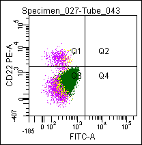 Mouse anti CD22 Antibody (PE)
