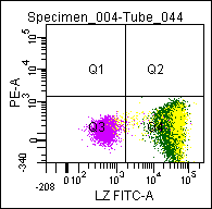 Mouse anti Lysozyme Antibody (FITC)