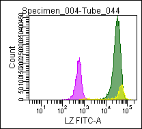 Mouse anti Lysozyme Antibody (FITC)