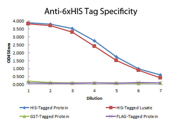 6X His Epitope Tag Antibody