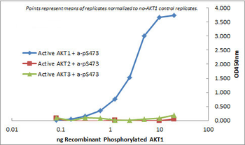 AKT1 Antibody (FITC)