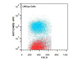 AKT1 Antibody (Biotin)