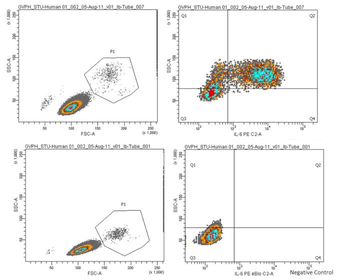 IL6 Antibody
