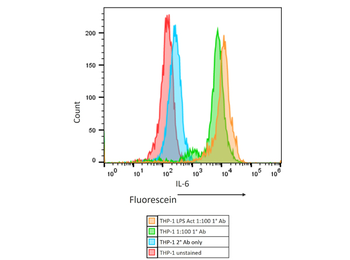 Il6 Antibody