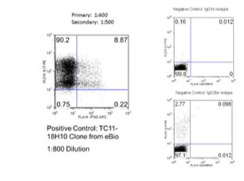 IL17a Antibody