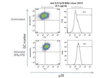 Il27 Antibody