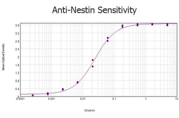 NES Antibody