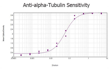 TUBA1B Antibody