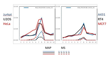 PDCD4 Antibody