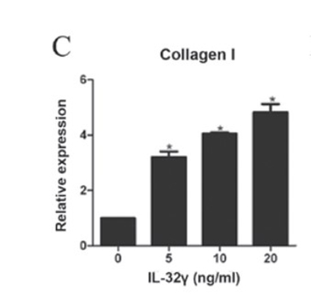 COL1A1 Antibody (FITC)