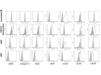 COL1A1 Antibody (Biotin)