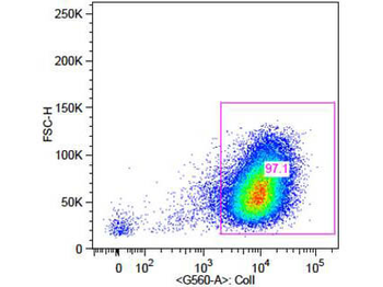 COL1A1 Antibody (Biotin)