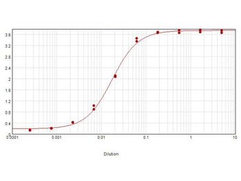 Sheep IgG (H&L) Antibody
