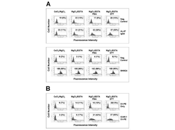Streptavidin Phycoerythrin Conjugated