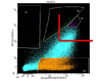 Streptavidin Phycoerythrin Conjugated