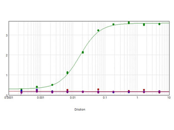 MAPK1 Antibody