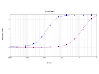 AKT1 Antibody