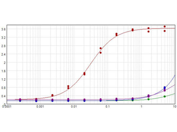 DsRed Antibody