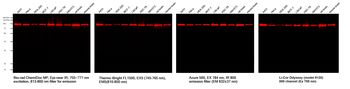 Multi-rAb CoraLite Plus 750-Goat Rabbit Recombinant Secondary Antibody (H+L)