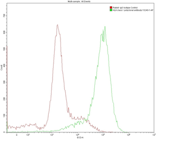 Multi-rAb CoraLite Plus 594-Goat Rabbit Recombinant Secondary Antibody (H+L)