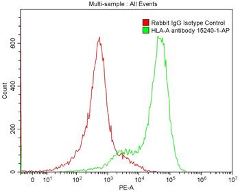 Multi-rAb CoraLite Plus 555-Goat Rabbit Recombinant Secondary Antibody (H+L)