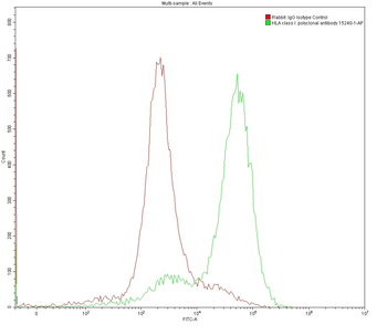 Multi-rAb CoraLite Plus 488-Goat Rabbit Recombinant Secondary Antibody (H+L)