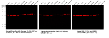 Multi-rAb CoraLite Plus 750-Goat Mouse Recombinant Secondary Antibody (H+L)