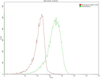 Multi-rAb CoraLite Plus 555-Goat Mouse Recombinant Secondary Antibody (H+L)