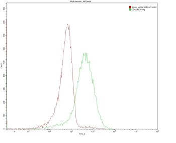 Multi-rAb CoraLite Plus 488-Goat Mouse Recombinant Secondary Antibody (H+L)