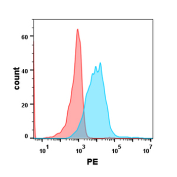 GPRC5D Biosimilar Antibody